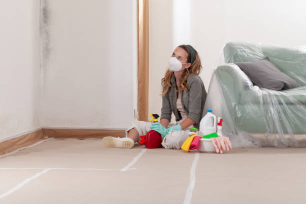 Reliable Mold Remediation contractor in New Jersey, NJ by WQB Mold Removal
